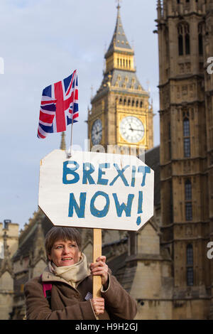 Westminster, Londra, Regno Unito. 23 Nov, 2016. Sostenitori Pro-Brexit protestare fuori casa del Parlamento, Westminster, Regno Unito Nicky Laff, da Folkstone in Kent tra Brexit sostenitori radunati oggi in Parlamento per difendere la democrazia del voto Brexit dopo 5 mesi del 23 giugno UE Referendum in tutto il Regno Unito. Credito: Jeff Gilbert/Alamy Live News Foto Stock
