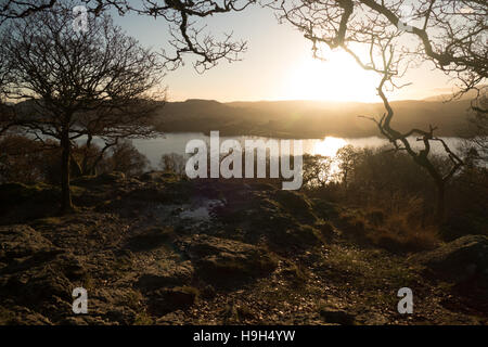 Ambleside, Cumbria, Regno Unito. 23 Novembre, 2016. Regno Unito Meteo. Dopo un po' bagnato e ventoso bello vedere qualche bel sole autunnale Ambelside sopra e lago di Windermere.copyright Credit: gary telford/Alamy Live News Foto Stock