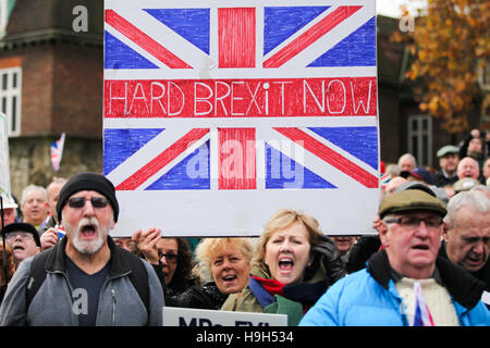 Londra, Regno Unito. 23 Nov, 2016. Centinaia di attivisti Pro-Brexit dimostrare nel vecchio palazzo di cantiere, di fronte al parlamento di Westminster contro la sentenza della Corte suprema sul Brexit, che il Parlamento britannico deve essere dato a dire su Brexit prima dell'articolo 50 può essere invocato. La protesta è stata programmata per coincidere con il Cancelliere Philip Hammond's autunno dichiarazione, con gli organizzatori sostenendo "i media di tutto il mondo sarà la copertura dell'evento, dando al 52% [chi ha votato per Brexit] massima esposizione a far sentire la loro voce". Credito: Dinendra Haria/Alamy Live News Foto Stock