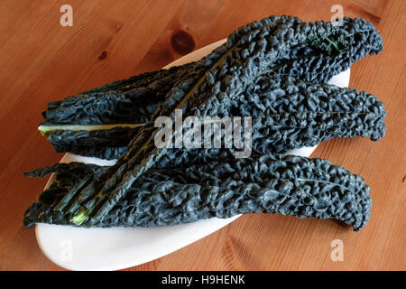 Cavolo nero Foto Stock