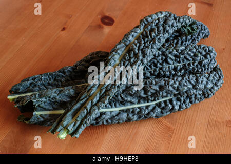 Cavolo nero Foto Stock