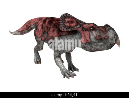 3D rendering di un dinosauro protoceratops isolati su sfondo bianco Foto Stock