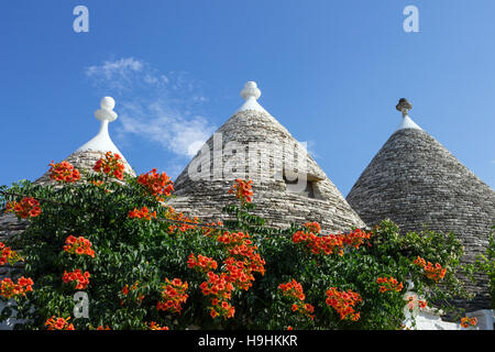 L'Italia. La puglia. Alberobello, trulli, case tipiche Foto Stock