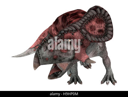 3D rendering di un dinosauro protoceratops isolati su sfondo bianco Foto Stock