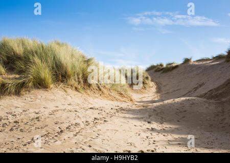 Le dune di sabbia con un segno in una giornata di sole a Pembrey Country Park, il Galles. Foto Stock