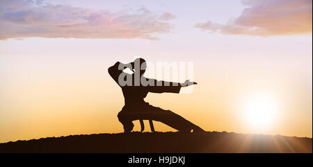 Immagine composita del fighter eseguendo il karate posizione Foto Stock