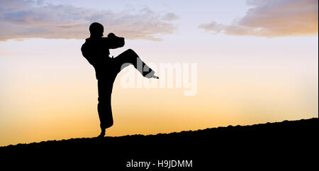 Immagine composita del fighter eseguendo il karate posizione Foto Stock