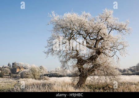 Frost albero coperto e Croft chiesa sullo sfondo, Croft, Leicestershire, Inghilterra, Regno Unito. Foto Stock
