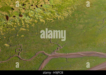 Veduta aerea saltmarsh a bassa marea, il Wadden Sea National Park, Schleswig-Holstein, Germania Foto Stock