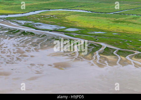 Veduta aerea saltmarsh e velme a bassa marea, il Wadden Sea National Park, Schleswig-Holstein, Germania Foto Stock