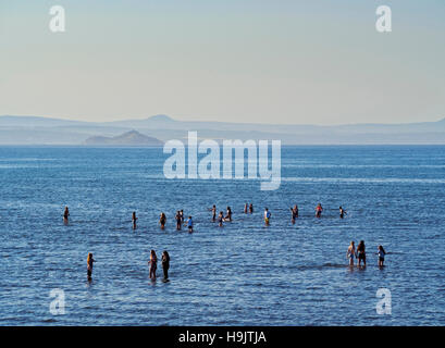 Regno Unito, Scozia, Area di Edimburgo, spiaggia a Musselburgh a bassa marea. Foto Stock