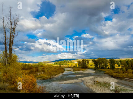 Vista lungo il Gros Ventre River Foto Stock