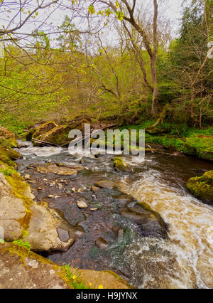 Regno Unito, Scozia, Midothian, Area di Edimburgo, il paesaggio di Roslin Glen nord e il fiume Esk. Foto Stock