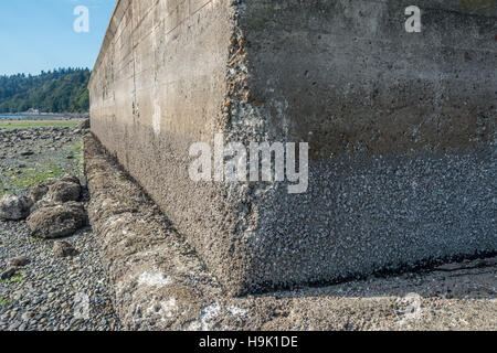 Erosione su un seawall si è rivelato con la bassa marea. La posizione è Des Moiines, Washington. Foto Stock