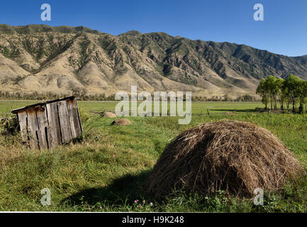 Pile di fieno soggiornare in cantiere del villaggio di fronte al fiume Chilik e Kungey Alatau montagne Kazakistan Foto Stock