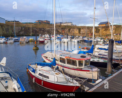 Seaham Marina in porto con piccole imbarcazioni da diporto in inverno il sole Foto Stock