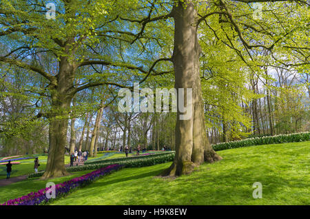 LISSE, Paesi Bassi - 17 Aprile 2016: Sconosciuto per i turisti che visitano il famoso keukenhof tulip gardens nei Paesi Bassi Foto Stock