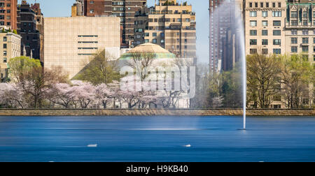 La molla a Central Park il serbatoio sul lato est superiore con il Jacqueline Kennedy Onassis serbatoio e fontana. New York Foto Stock