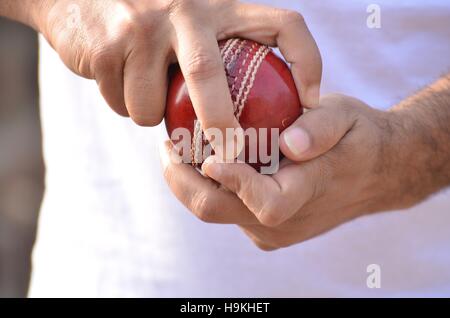 Cricket spin bowler andando a sfera. Foto Stock
