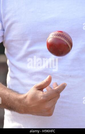 Cricket spin bowler andando a sfera. Foto Stock