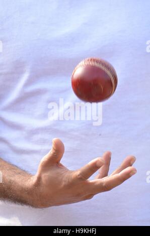 Cricket spin bowler andando a sfera. Foto Stock