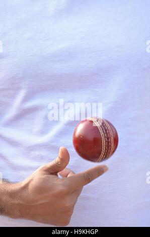 Cricket spin bowler andando a sfera. Foto Stock