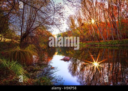 Sunrise e cadere i colori sull'EST verde fiume vicino a Payson, Arizona. Foto Stock