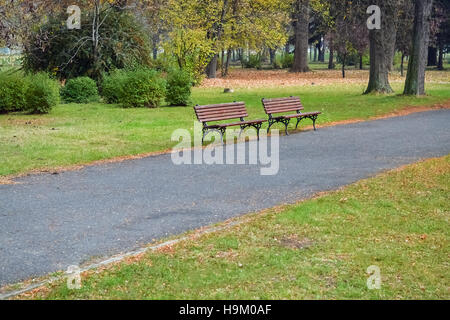 Due banchi di marrone e caduto foglie secche nel parco della città Foto Stock