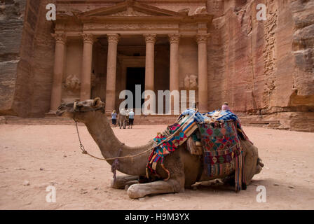 Resto del cammello di fronte al tesoro Khazneh rovine, Petra, Giordania Foto Stock