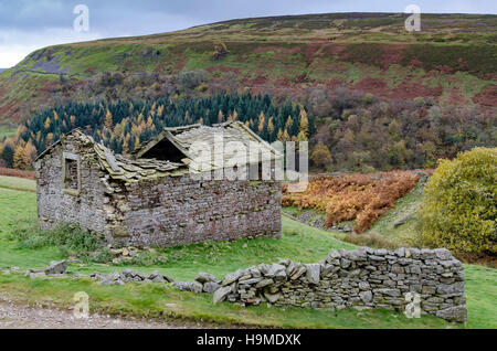 Kisdon cascate a piedi, Swaledale superiore, Yorkshire Dales National Park Foto Stock