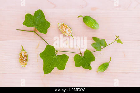 L'edera gourd, noto anche come baby anguria, poco gourd, Gent Foto Stock