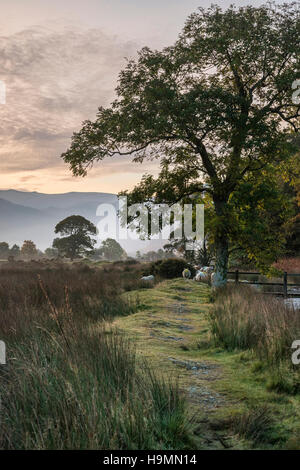 Bella la nebbia caduta misty sunrise sulla campagna circostante Crummock acqua nel Lake District in Inghilterra Foto Stock