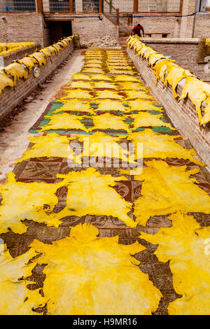 Tinti le pelli di animali di essiccazione al sole presso una piccola Conceria della Medina di Fez el Bali, Fez, in Marocco Foto Stock