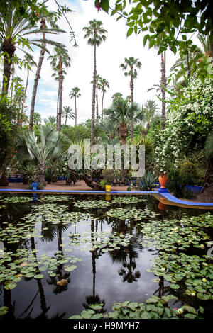 Lily Pond nel Jardin Majorelle Giardino a Marrakech.che è stato rinnovato dal designer francese Yves Saint Laurent Foto Stock