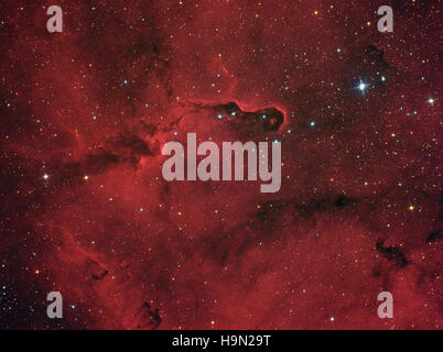 Nebulosa Proboscide (IC 1396) nella costellazione di Cefeo Foto Stock