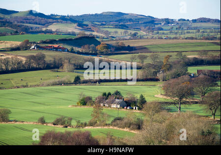 Vista su terreni agricoli in West Lothian con montagne coperte di neve in lontananza. Foto Stock