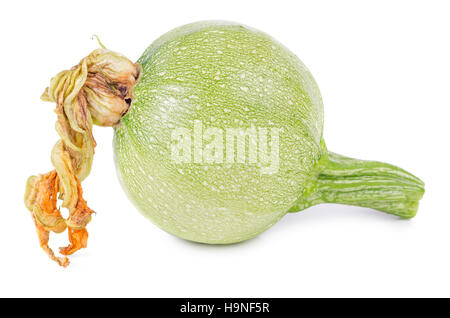 Materie round zucchini con il fiore isolato su sfondo bianco. Zucchine Zucchine. Foto Stock