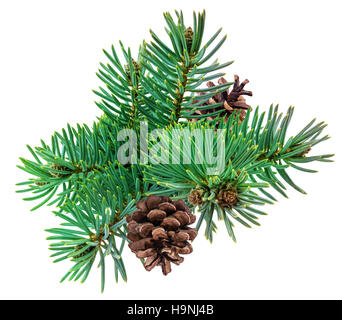 Cono e albero di natale isolato su bianco Foto Stock