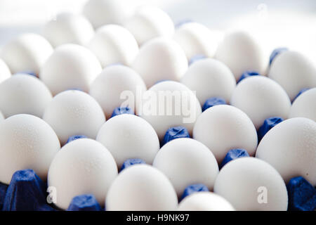 Le uova bianche nel cestello blu Foto Stock