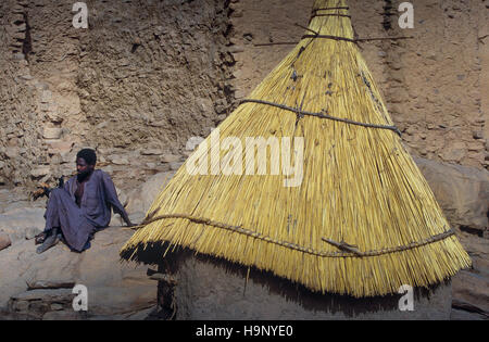 Gommo, Mali, Africa - Gennaio 26, 1992: villaggio Dogon, tipico degli edifici di fango con tempio animisti e le stalle per i cereali Foto Stock
