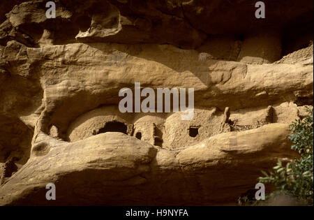 Gommo, Mali, Africa - Gennaio 26, 1992: villaggio Dogon, tipico degli edifici di fango con tempio animisti e le stalle per i cereali Foto Stock