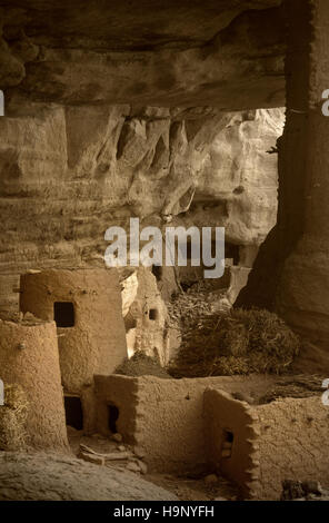 Gommo, Mali, Africa - Gennaio 26, 1992: villaggio Dogon, tipico degli edifici di fango con tempio animisti e le stalle per i cereali Foto Stock