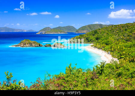 Caraibi,Trunk Bay su San Giovanni isola, Isole Vergini Americane Foto Stock