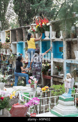 Una famiglia messicana organizza fiori sulla tomba di un relativo nella Nuestra Se-ora de Guadalupe cimitero durante il giorno dei morti festival il 1 novembre 2016 in San Miguel De Allende, Guanajuato, Messico. La settimana di festa è un momento in cui i messicani benvenuti i morti alla messa a terra per una visita e celebrare la vita. Foto Stock