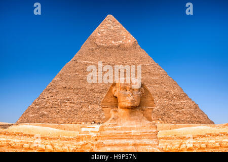 Sfinge di Giza, il Cairo, Egitto Foto Stock