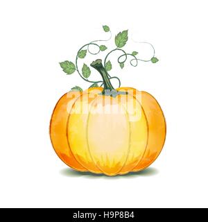 Grunge zucca con foglie su sfondo bianco Illustrazione Vettoriale