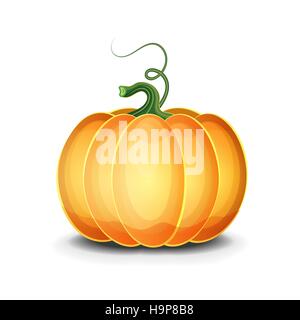 Zucca di vettore su sfondo bianco Illustrazione Vettoriale