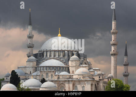 La Moschea di Suleymaniye ad Istanbul in Turchia Foto Stock