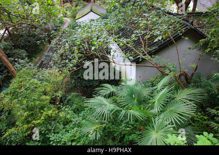 Cina, Zhejiang, Hangzhou, Baopu Tempio Taoista, foresta, vegetazione, Foto Stock