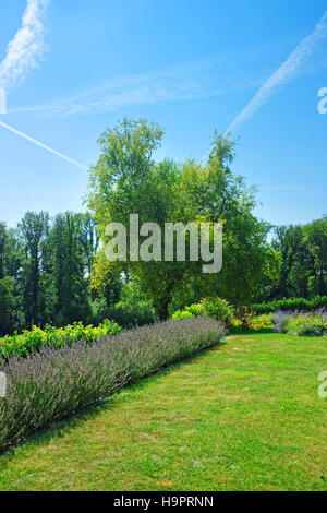 Campo di lavanda in un villaggio svizzero di Yverdon-les-Bains Les Bains in Jura Nord Vaudois distretto, Canton Vaud, Svizzera. Foto Stock